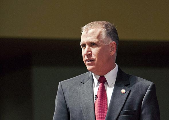 Thom Tillis